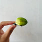 Korean Summer Emulational Fruit Orange Food Barrettes